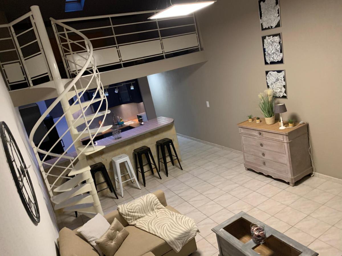 Appartement Vue Cite Medievale 卡尔卡松 外观 照片